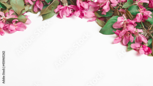 Spring flowering branches on a white background. Apple blossoms. Copy space. Spring. Mothers day, Womens day