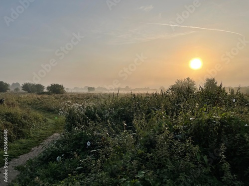 Sunrise over meadow in England, UK