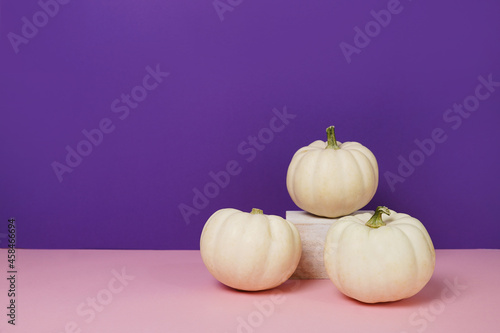 Mini white pumpkins on purple background. Copy space.