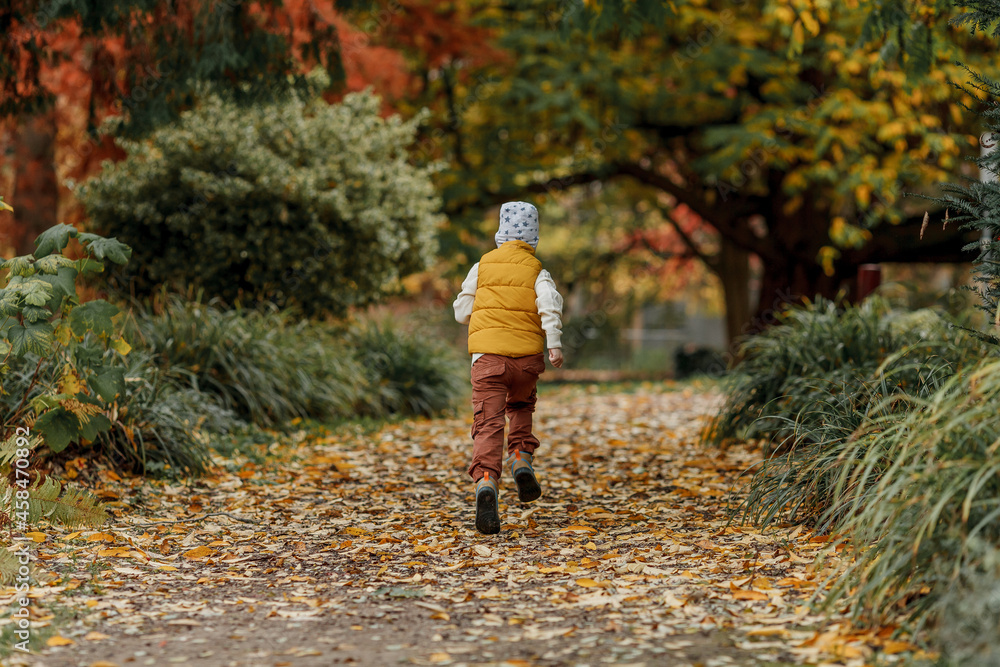Little happy boy walks in the autumn park. Bright autumn colors. Little happy boy walks in the autumn park. Bright autumn colors.