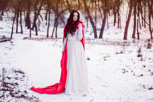 fairy girl red riding hood in the forest in winter in nature in snow
