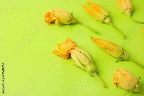 Flowers of zucchini on color background  closeup