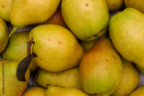 harvest of ripe juicy pears close - up background backdrop