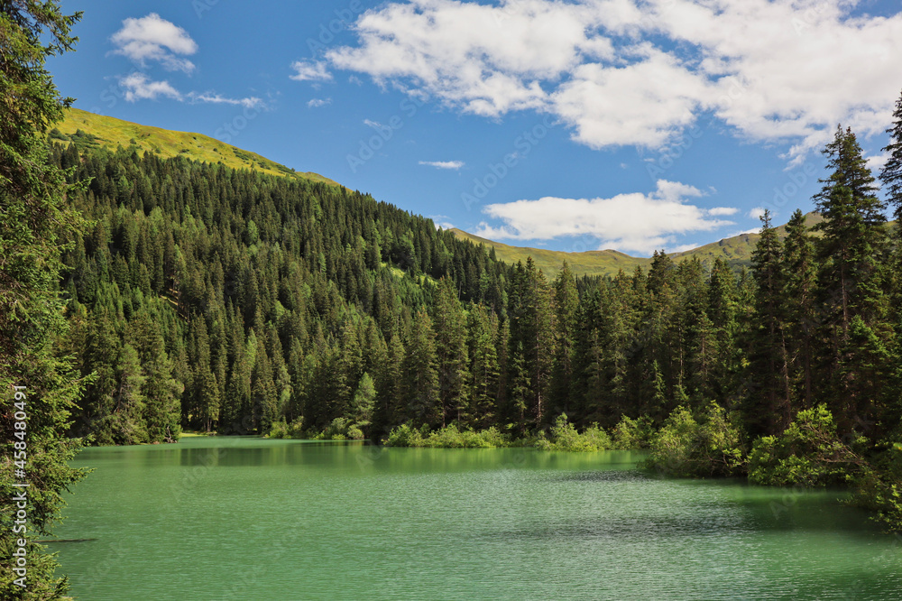 Green Obernberg Lake in Tyrol. Beautiful View of Obernberger See during Summer in Austria.