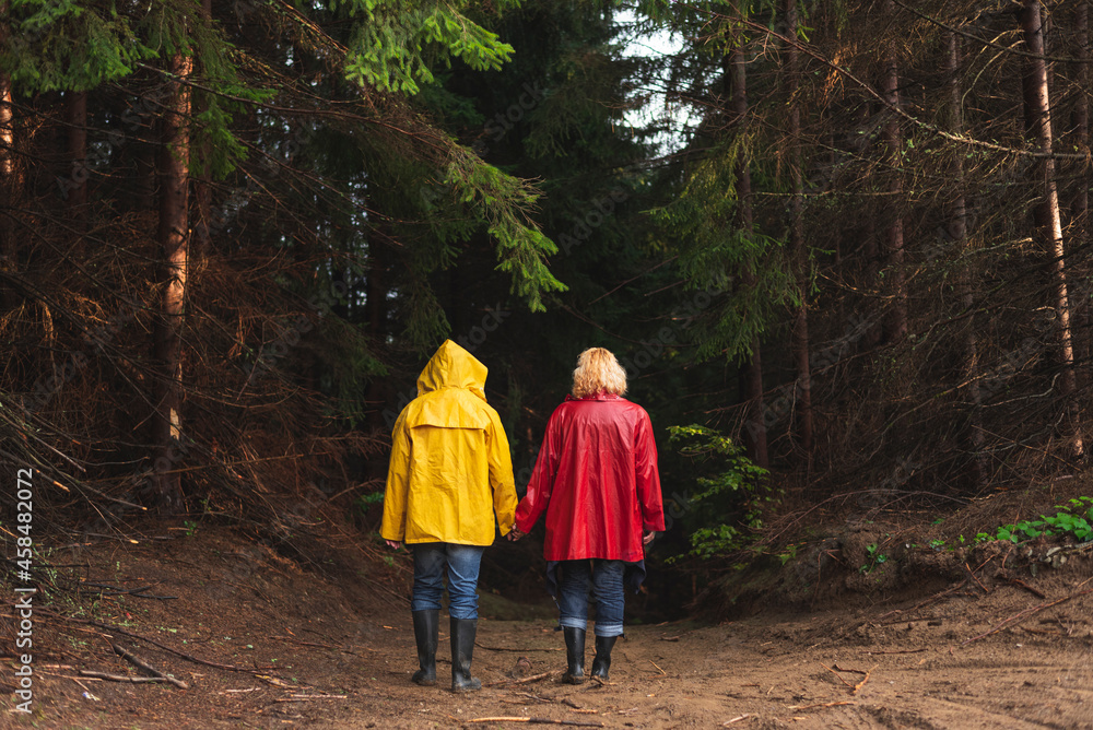 Fototapeta premium Middle age couple in raincoats walking through forest