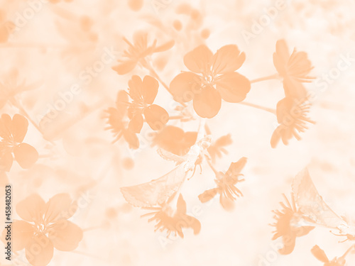 Soft focus pastel flower background featuring abstract