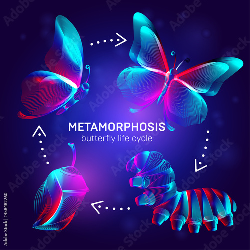 Leinwand Poster Metamorphosis concept