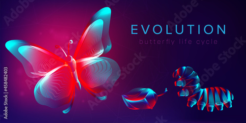 Evolution of a butterfly life cycle horizontal banner. 3D vector illustration with abstract stereo neon silhouettes of insects: caterpillar, pupa and butterfly. Metamorphosis concept in line art style
