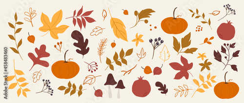 Cute autumn background vector. Autumn shopping event illustration wallpaper with hand drawn icons set. This design good for banner, sale poster, packaging background and greeting card.
