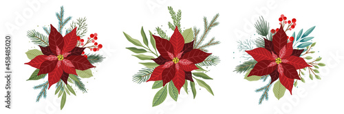 Christmas set with Poinsettia Flowers and Christmas Floral Elements