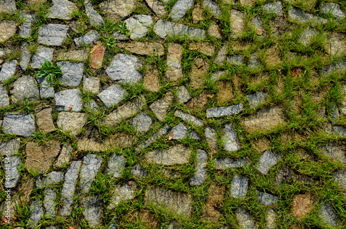 transition of paved surfaces between paving and lawn. the lawn grows between individual randomly placed stones of granite chipped paving. full to very loose texture