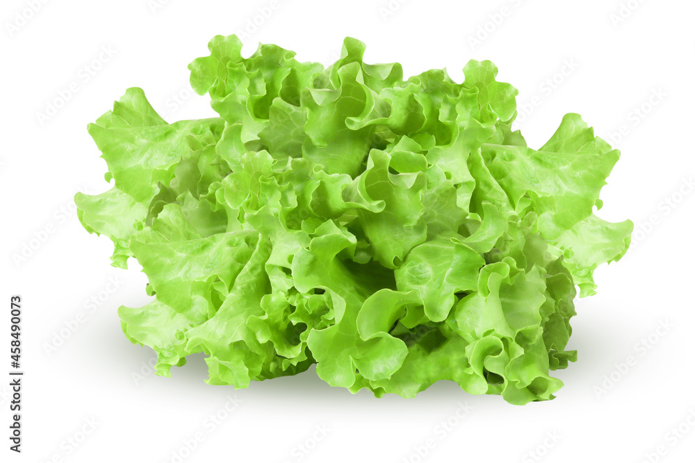 Lettuce leaves on isolated white background Lettuce leaves on isolated white background