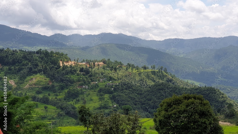 Obraz premium forest in the mountains, Green trees, Woods, Secenary, Hills, Hillstation