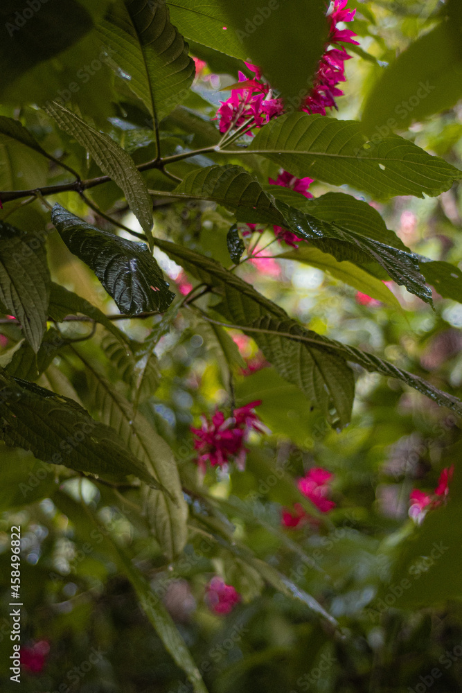red and green red and green