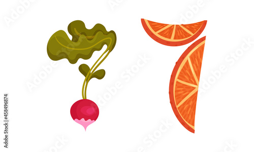 Number 7 Seven made of fresh radish and orange cartoon vector illustration