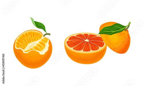 Orange fruit and vegetables set. Fresh ripe mandarin and orange cartoon vector illustration