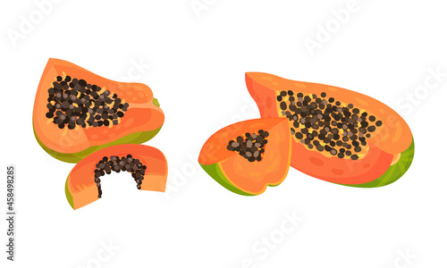 Sliced papaya fruit with seeds set. Healthy diet, organic, vegetarian product vector illustration