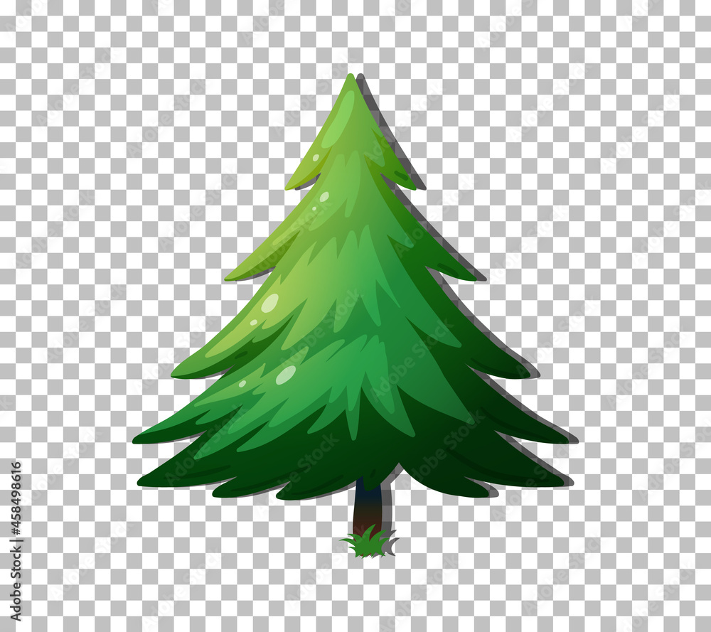 Evergreen tree isolated on transparent background Evergreen tree isolated on transparent background