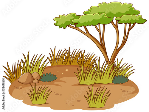 Isolated African forest scene