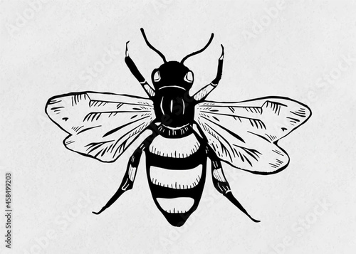 Vintage bee vector insect linocut stencil pattern clipart