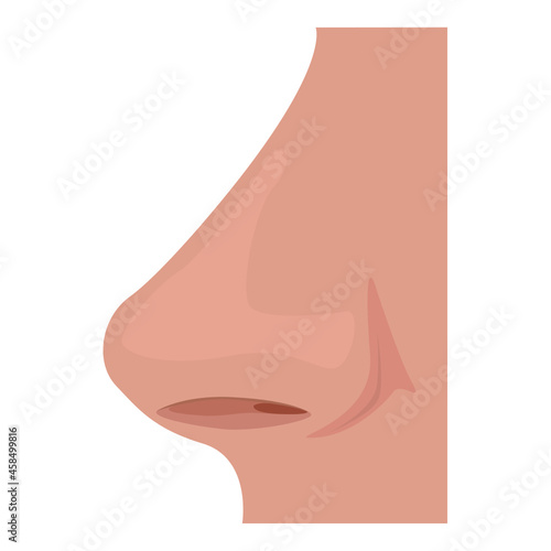 Nase