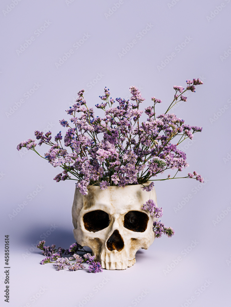 Lilac field flowers in a human's skull that serves as a pot on lavender pastel background. Creative Halloween floral concept. Dead head, gothic art, and romantic details. Fashion minimal art. - obrazy, fototapety, plakaty 