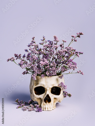 Fotografie, Obraz Lilac field flowers in a human's skull that serves as a pot on lavender pastel background