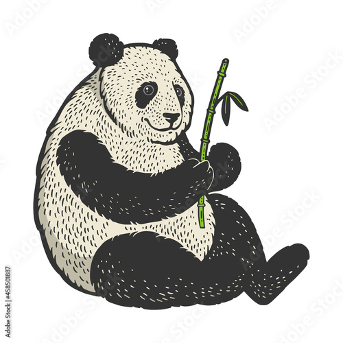 Panda bear with bamboo color sketch engraving vector illustration. T-shirt apparel print design. Scratch board imitation. Black and white hand drawn image.