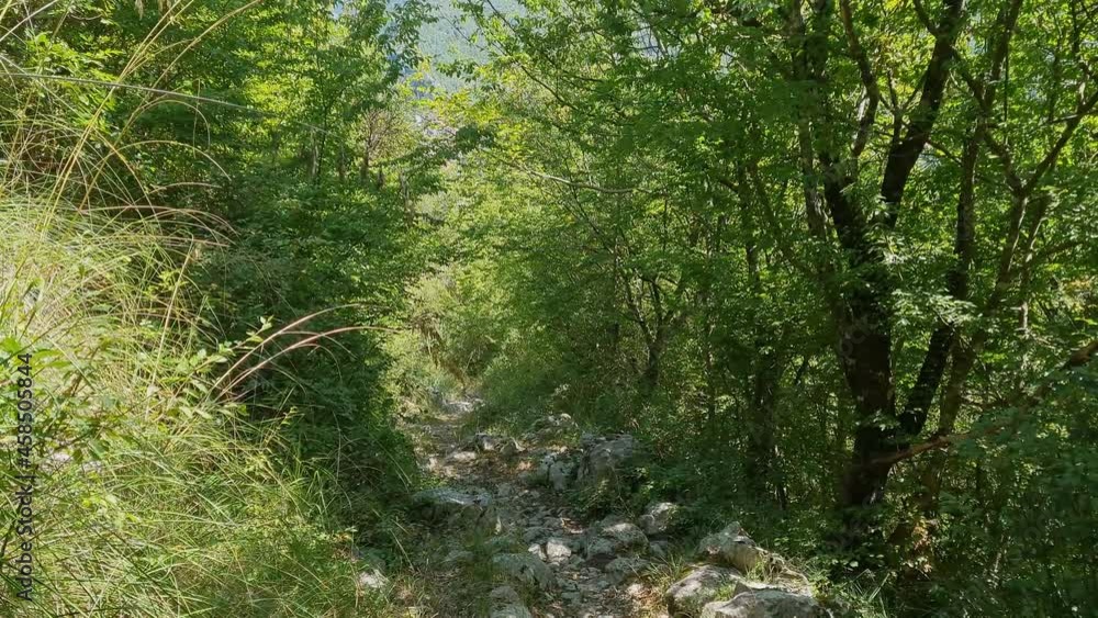 Personal Perspective of Walking on a trekking Path in the green Forest in Cilento, Italy Personal Perspective of Walking on a trekking Path in the green Forest in Cilento, Italy