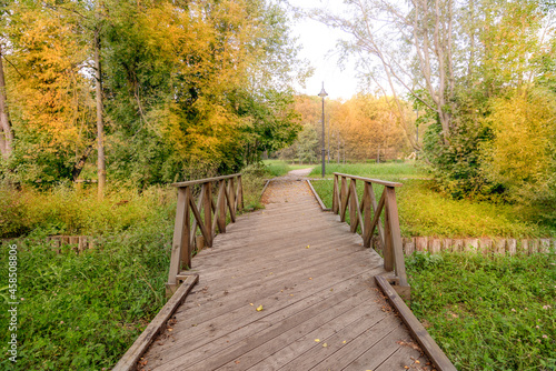 wooden bridge in autumn forest
