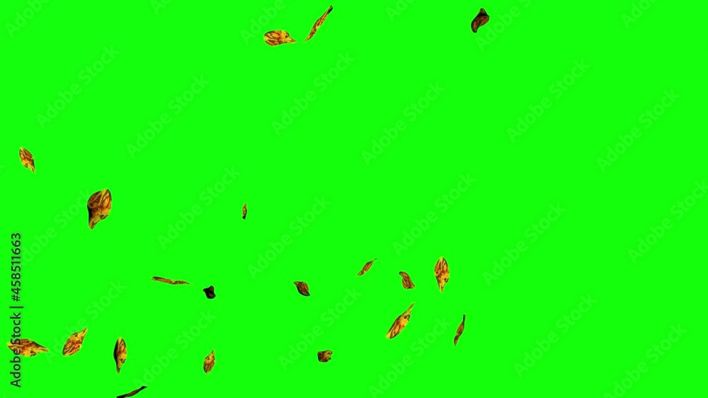 Autumn 3D leaves falling , chroma key, graphic source element Autumn 3D leaves falling , chroma key, graphic source element