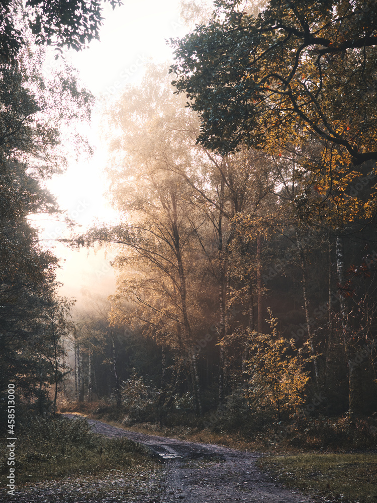 In Wald und Heide