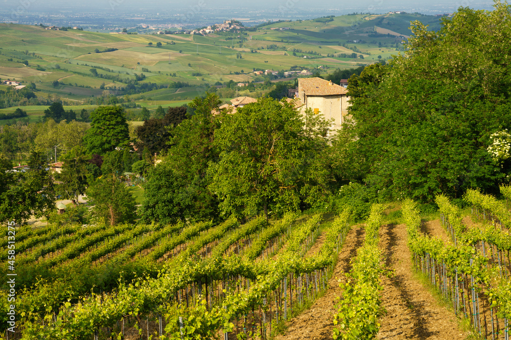 Rural landscape near Nibbiano, Emilia-Romagna, at May
