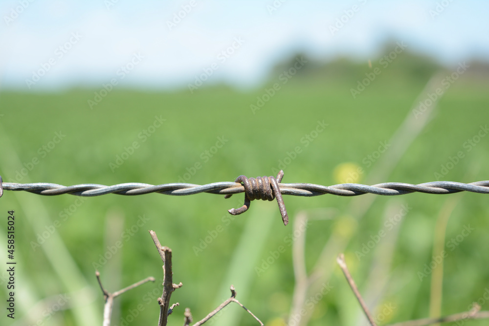 barbed wire with field and horizon in the background barbed wire with field and horizon in the background