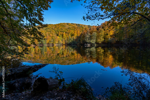 Fototapeta Naklejka Na Ścianę i Meble -  forest and lake view in autumn