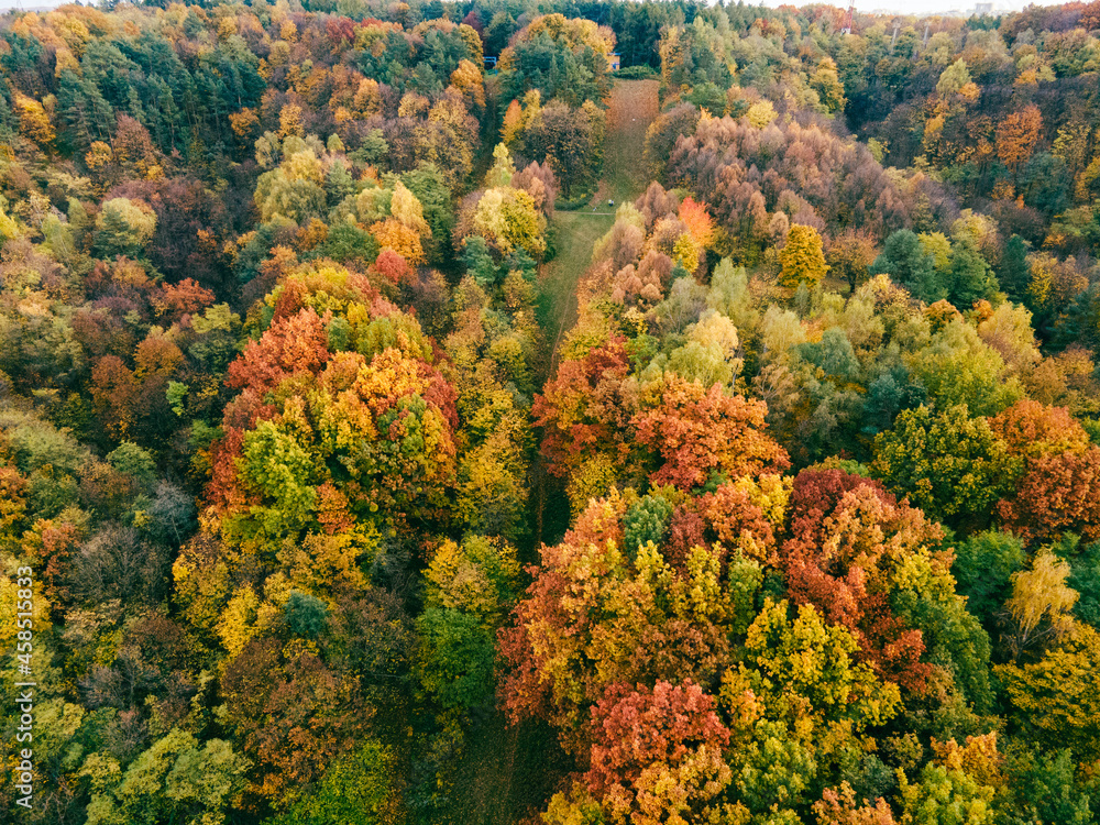 aerial view of autumn forest aerial view of autumn forest