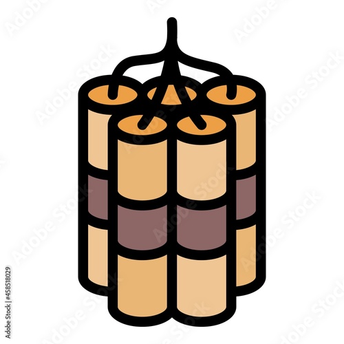 Dynamite icon. Outline dynamite vector icon color flat isolated
