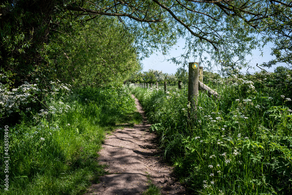 Country path through fields and woods