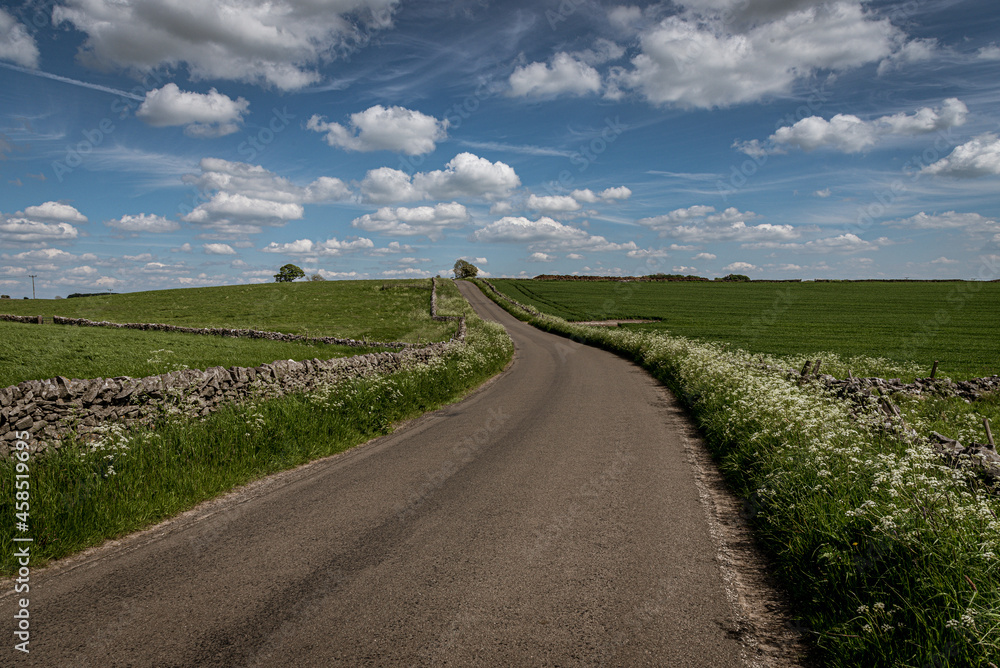 landscape with a field and road and blue sky