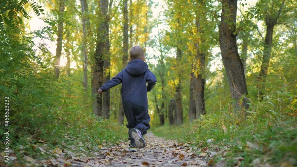 Child running in the yellow leaves. Little boy run in autumn park, little child playing with old dry trees foliage, enjoying walk, beauty autumn season. Happy childhood concept. Child running in the yellow leaves. Little boy run in autumn park, little child playing with old dry trees foliage, enjoying walk, beauty autumn season. Happy childhood concept.