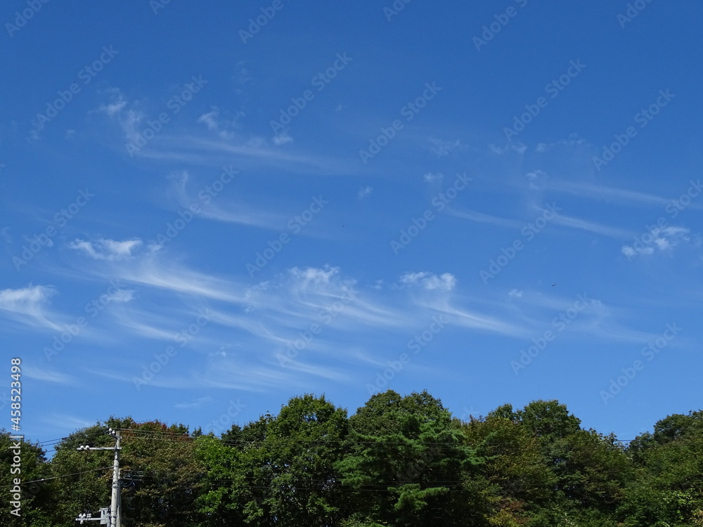 Obraz premium 秋空