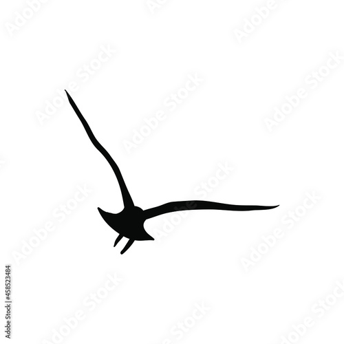 Bird vector icon. fly illustration sign. food symbol. meat logo. © Denys