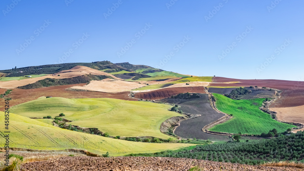 Paisaje rústico con parcelas de tierra de distinto color por los cultivos un día soleado con cielo azul . Desde el campo de Andalucía, sur de España.