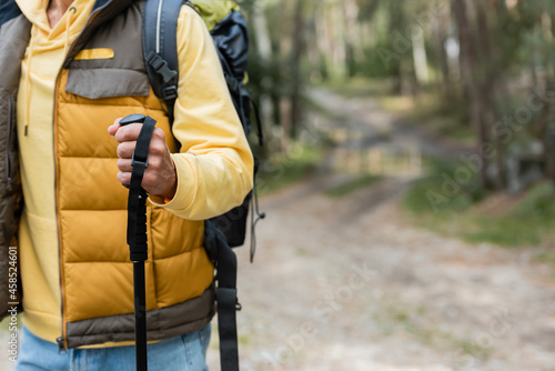 partial view of hiker in warm vest holding trekking pole outdoors