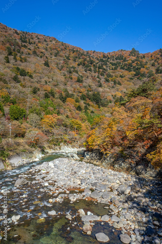 那須塩原 渓谷の紅葉