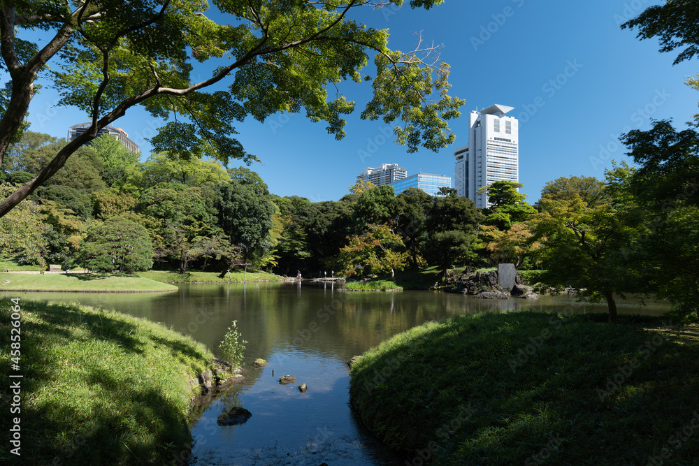 秋の青空と庭園の風景　9月