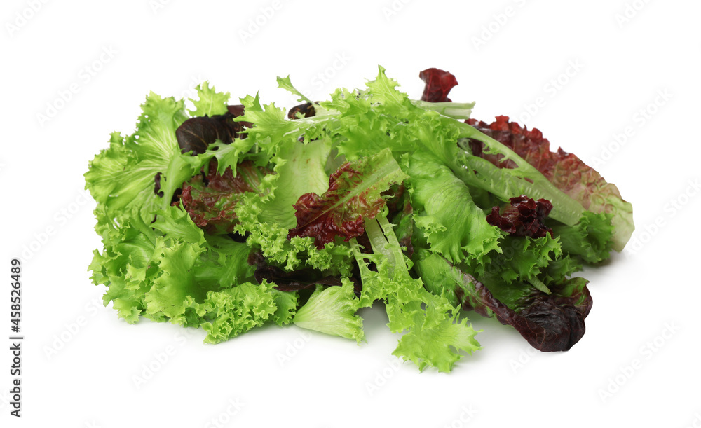 Leaves of different lettuces on white background Leaves of different lettuces on white background