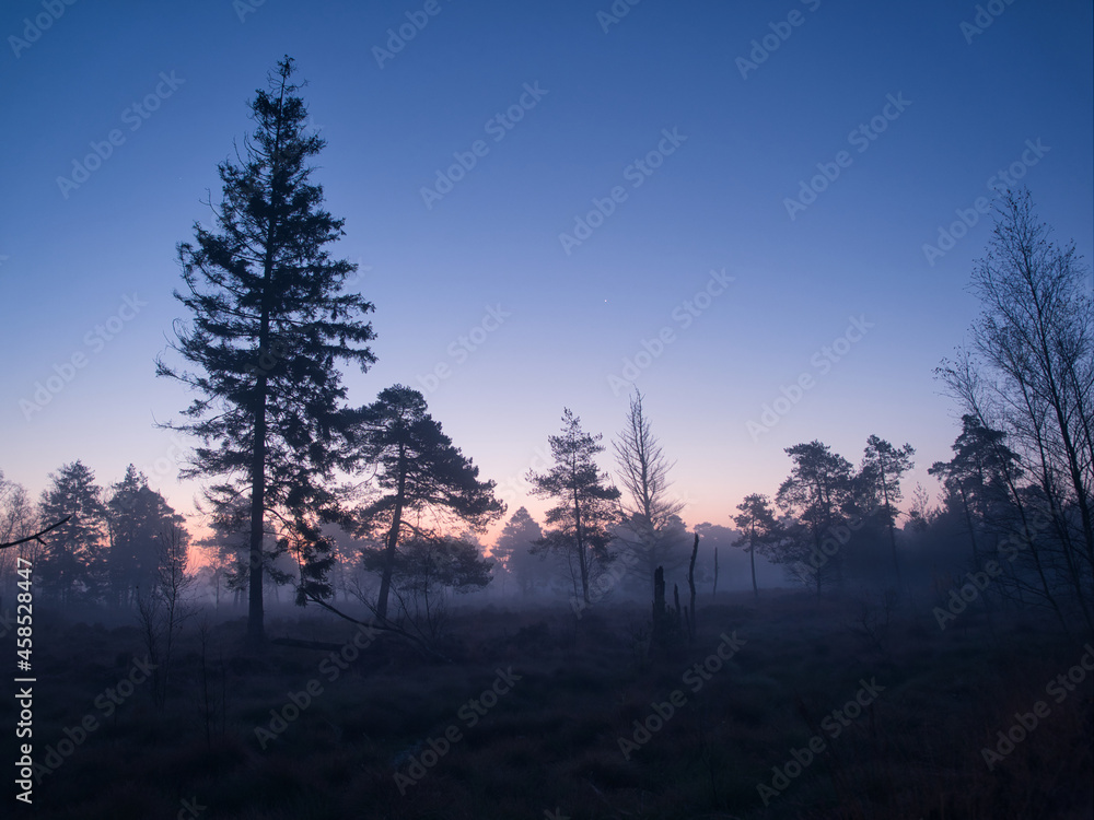 Morgenstimmung im Moor Morgenstimmung im Moor