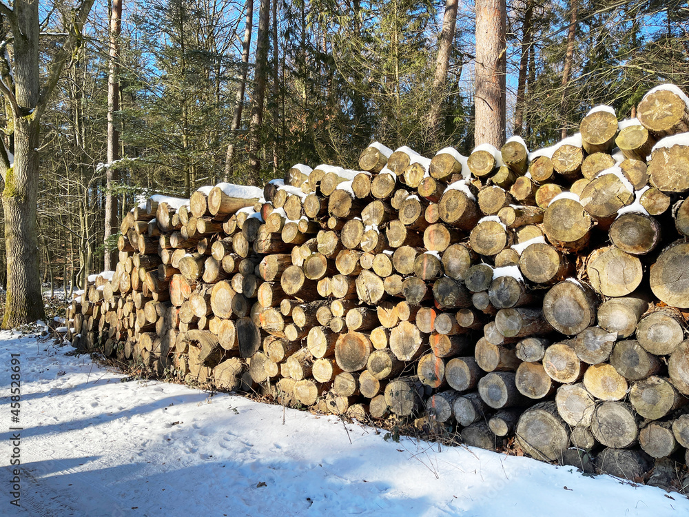 Holzstämme von gefällten Bäumen als Holzstapel im Winter mit Schnee