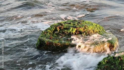 sea summer wave in the evening seaweed stone in the wave splash foam